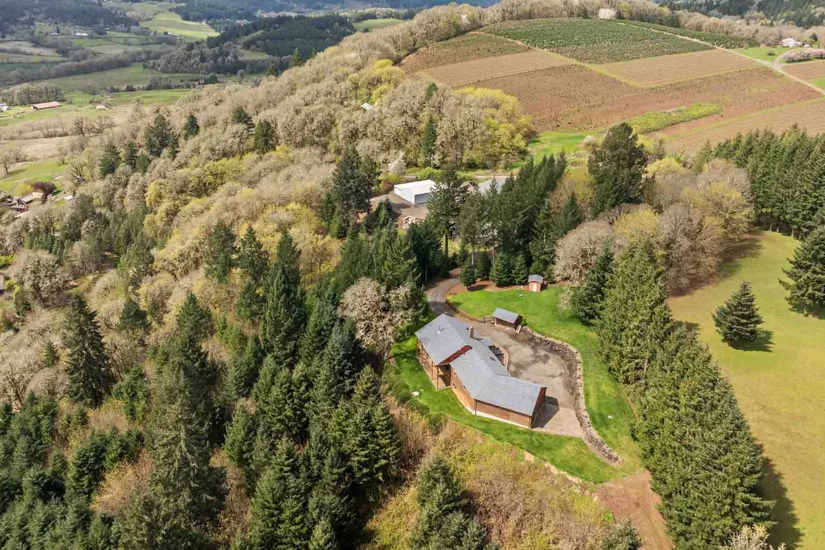 This exterior image captures the house surrounded by lush trees, open fields, and a country road leading into the distance. The setting exudes tranquility and gives a sense of rural escape, with the property nestled amidst nature and expansive space visible in the background.